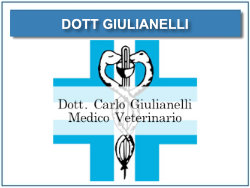GIULIANELLI
