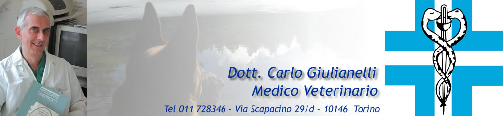 Giulianelli header